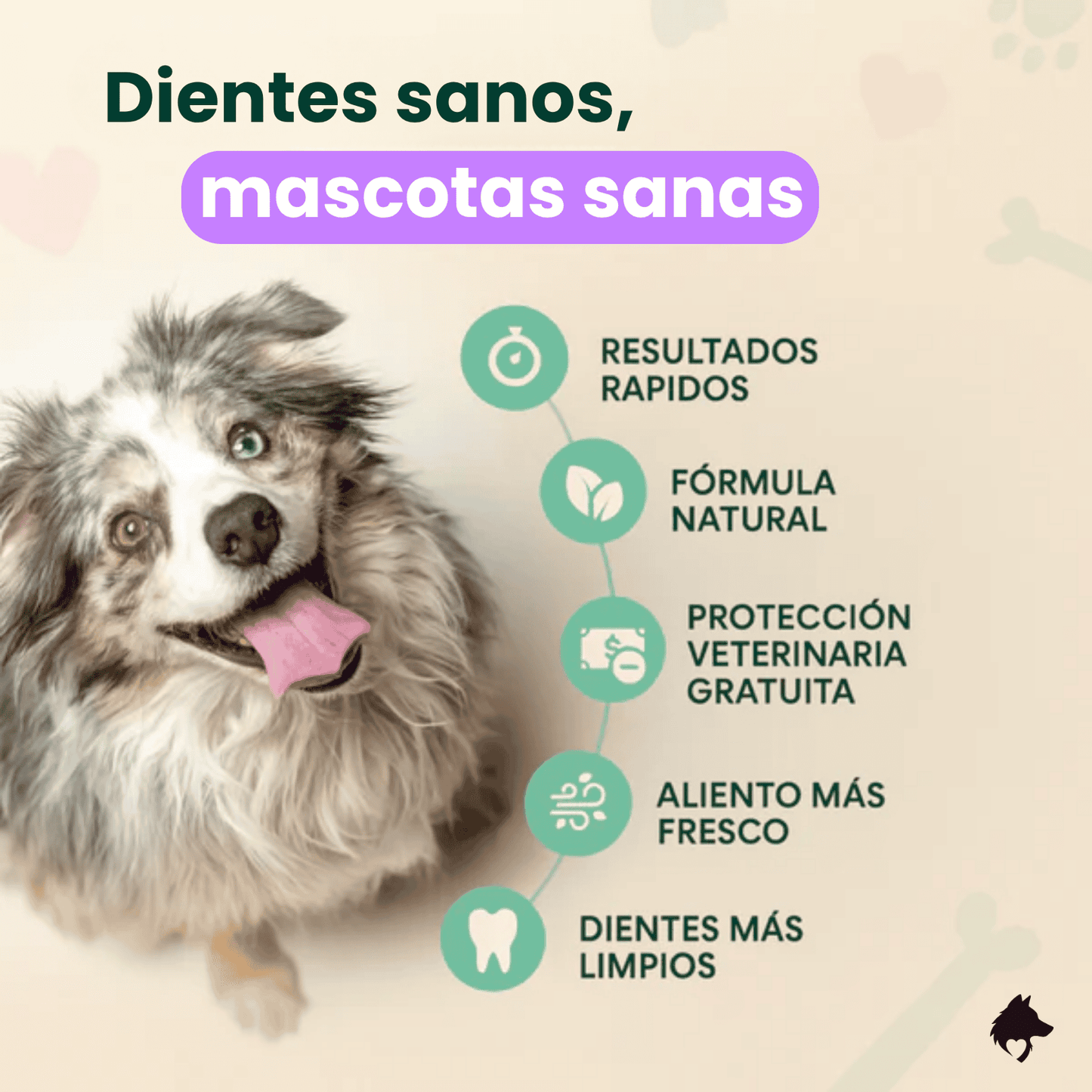 OFERTA 2X1 Spray DentaClean™ | Cuidado dental fácil, sonrisa sana y mascota feliz