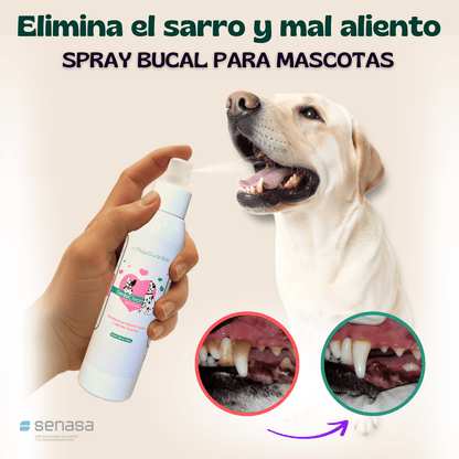 OFERTA 2X1 Spray DentaClean™ | Cuidado dental fácil, sonrisa sana y mascota feliz