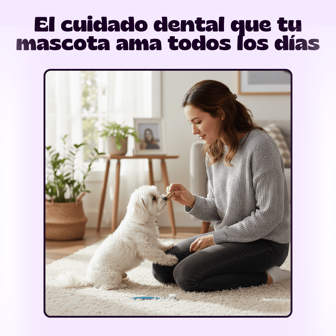 Dental Clean Mon Ami™️ Individual | Rutina de Cuidado Dental con Sabor a Pollo Fresco