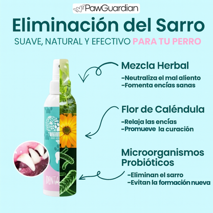 OFERTA 2X1 Spray DentaClean™ | Cuidado dental fácil, sonrisa sana y mascota feliz