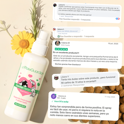 OFERTA 2X1 Spray DentaClean™ | Cuidado dental fácil, sonrisa sana y mascota feliz