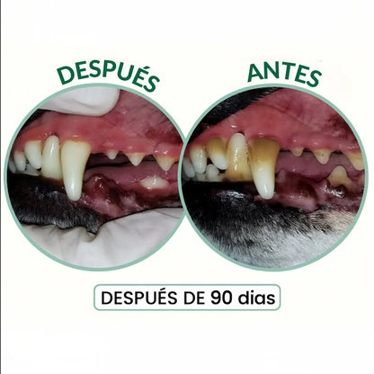 OFERTA 2X1 Spray DentaClean™ | Cuidado dental fácil, sonrisa sana y mascota feliz